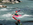 alps kayak course